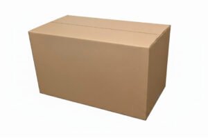 Envio 1